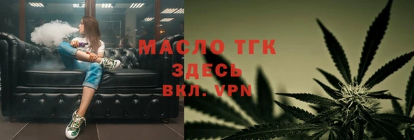 эйфоретик Ельня