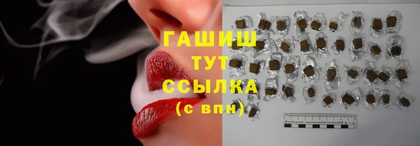 эйфоретик Ельня
