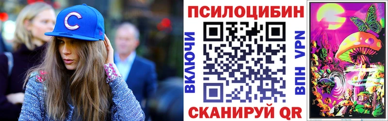 Галлюциногенные грибы Psilocybe  наркотики  Реж 