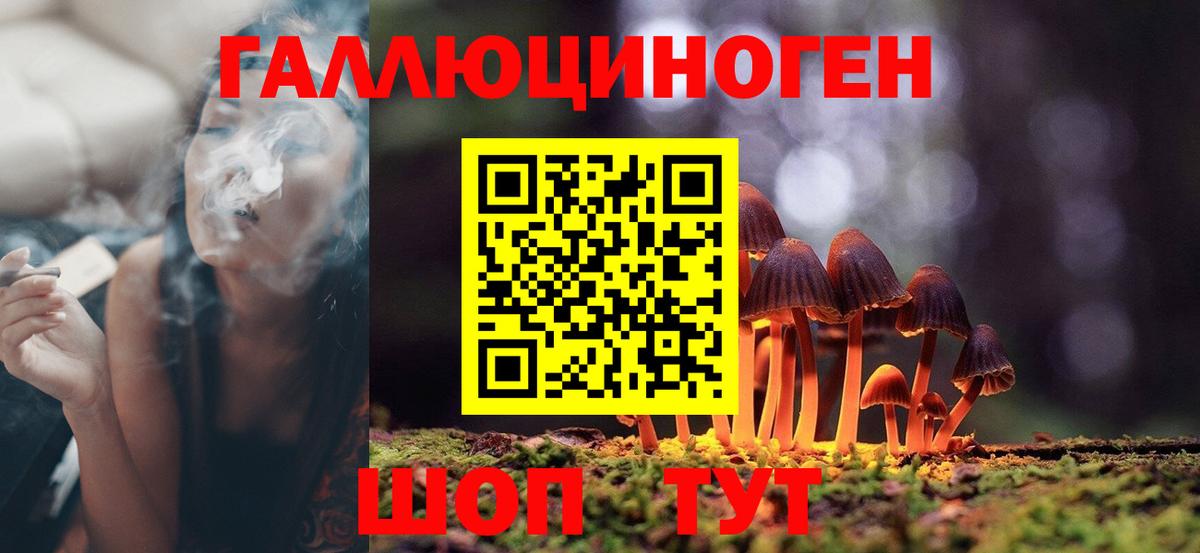 Реж  Галлюциногенные грибы мухоморы  Галлюциногенные грибы GOLDEN TEACHER  Вход с VPN 