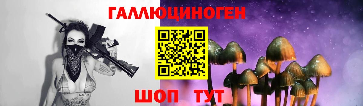 Галлюциногенные грибы GOLDEN TEACHER Реж